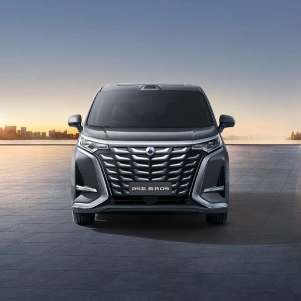 2025 DENZA D9 luxury MPV Plug-in Hybrid Model Top-of-the-line version