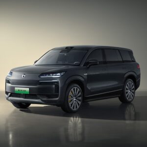 9c792038-89c8-4250-a992-301cc1c433b9 2025 DENZA N9 luxury SUV Plug-in Hybrid Model Top-of-the-line version
