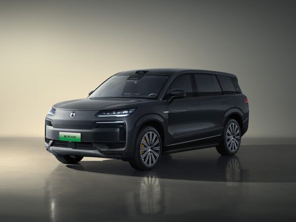 9c792038-89c8-4250-a992-301cc1c433b9 2025 DENZA N9 luxury SUV Plug-in Hybrid Model Top-of-the-line version